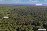 329 Chipola Drive - Photo 2