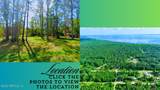 TBD Corner Lot 1 Birch Boulevard - Photo 12