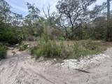 000 Black Creek Drive - Photo 14