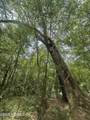 000 Black Creek Drive - Photo 8
