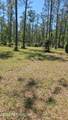 10136 Kings Crossing Drive - Photo 10