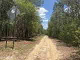 XXX County Road 315 - Photo 4