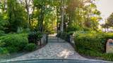 2604 Tacito Trail - Photo 8