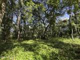 241 Indian Lakes Forest Road - Photo 1