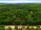 241 Indian Lakes Forest Road - Photo 10