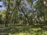 241 Indian Lakes Forest Road - Photo 2