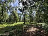 241 Indian Lakes Forest Road - Photo 5
