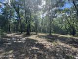 241 Indian Lakes Forest Road - Photo 9