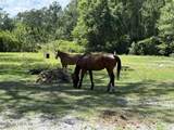 5214 Carter Spencer Road - Photo 11