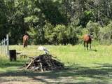 5214 Carter Spencer Road - Photo 12