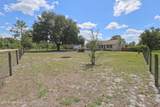 2442 Quarterhorse Trail - Photo 5