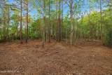 1133 Girvin Road - Photo 22