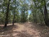 15422 Bullock Bluff Rd Road - Photo 5