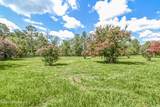 17442 Tommy Road - Photo 16