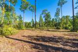 2411 Us Highway 301 - Photo 62