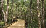 50 Neighbor Court - Photo 44