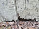 2879 Creek Street - Photo 43