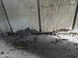 2879 Creek Street - Photo 44