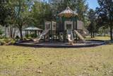 3223 Wandering Oaks Drive - Photo 49