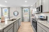 14804 Macademia Lane - Photo 9