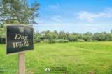 10961 Burnt Mill Road - Photo 69