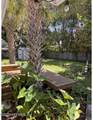 1125 Oceanwood Drive - Photo 17