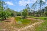 5987 Shelly Lane - Photo 48