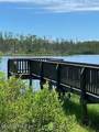 6 Mulberry Road - Photo 20