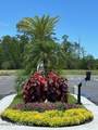 6 Mulberry Road - Photo 23
