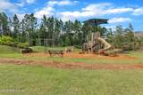 384 Freshwater Drive - Photo 59
