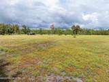 17411 County Road 1471 - Photo 50