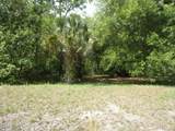 257 Tarpon Boulevard - Photo 13