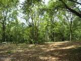 257 Tarpon Boulevard - Photo 8