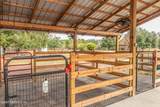 8219 Mud Lake Road - Photo 81