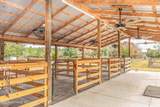8219 Mud Lake Road - Photo 82