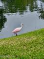 14407 Pelican Bay Court - Photo 9