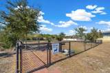 480 Palace Drive - Photo 53