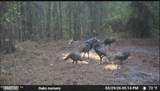 O Lazy Pines Road - Photo 10
