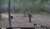 O Lazy Pines Road - Photo 11