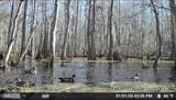 O Lazy Pines Road - Photo 12