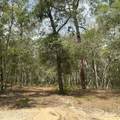 1643 State Rd 20 - Photo 10