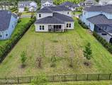 46 Windmill Palm Trail - Photo 52