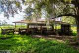 9284 County Road 225 - Photo 50