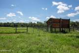 9284 County Road 225 - Photo 93
