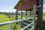 9284 County Road 225 - Photo 94
