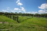 9284 County Road 225 - Photo 96