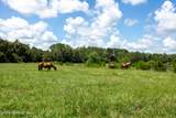 9284 County Road 225 - Photo 98
