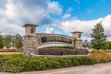 16187 Blossom Lake Drive - Photo 44