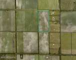 175 County Road 108 - Photo 4