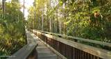 20 Bison Trail - Photo 75
